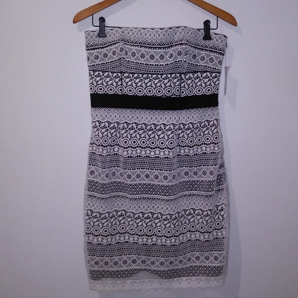 NWT Cynthia Steffe Trudy Embroidered Eyelet Dress - Picture 3 of 7